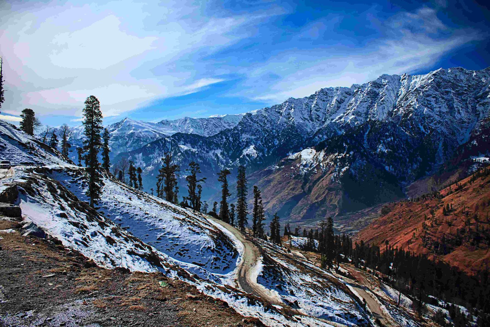 Rishikesh Tour Package - Indian Free Bird